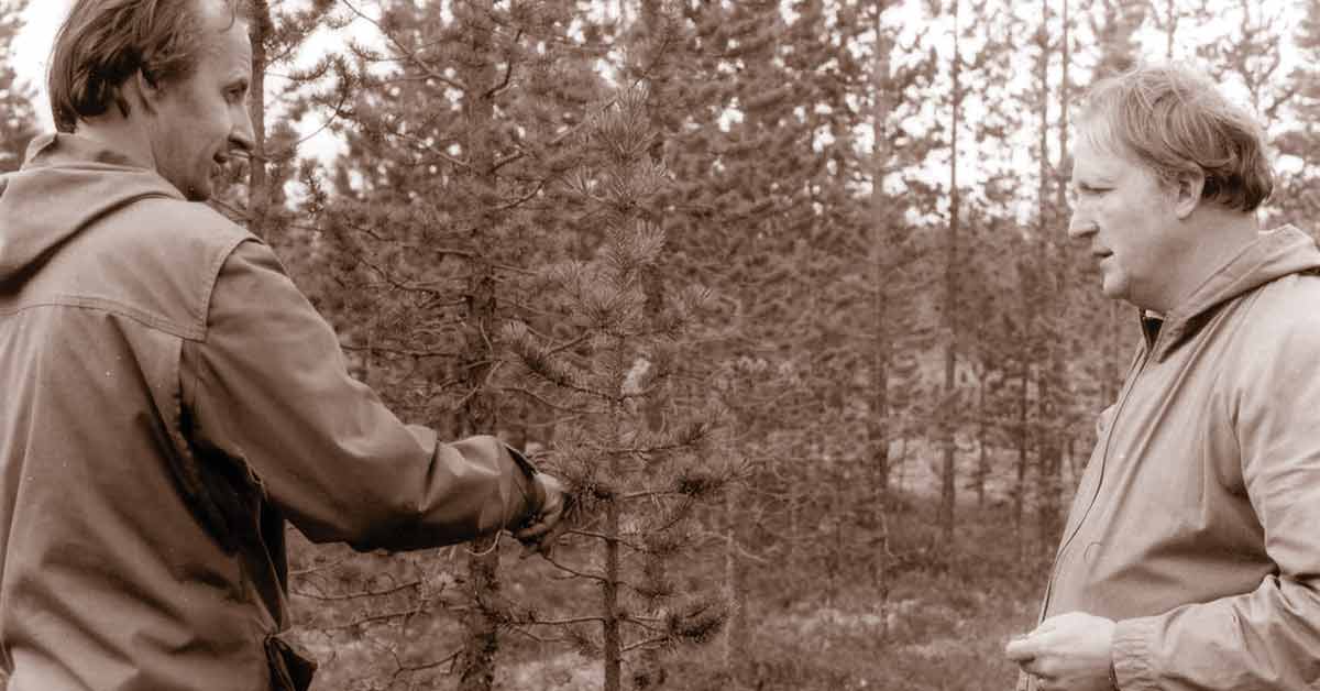 Artikkelin Auringonsäteilystä, fotosynteesistä,… otsikkokuva