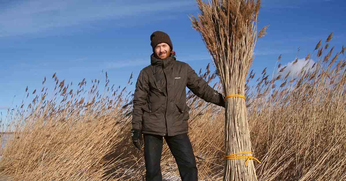 Artikkelin Rookroonimees ja Guinnessi rekord otsikkokuva