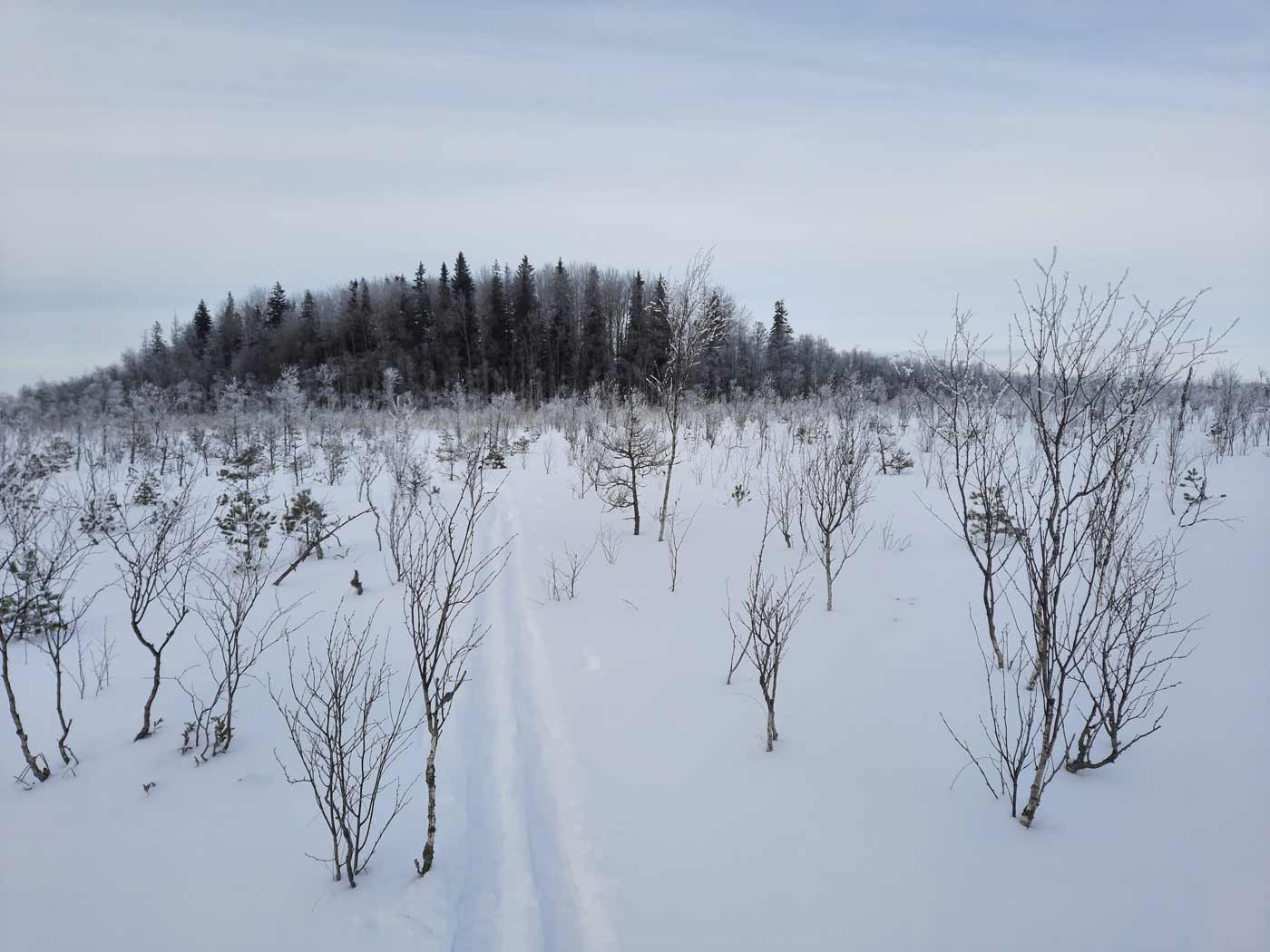 talvinen suomaisema